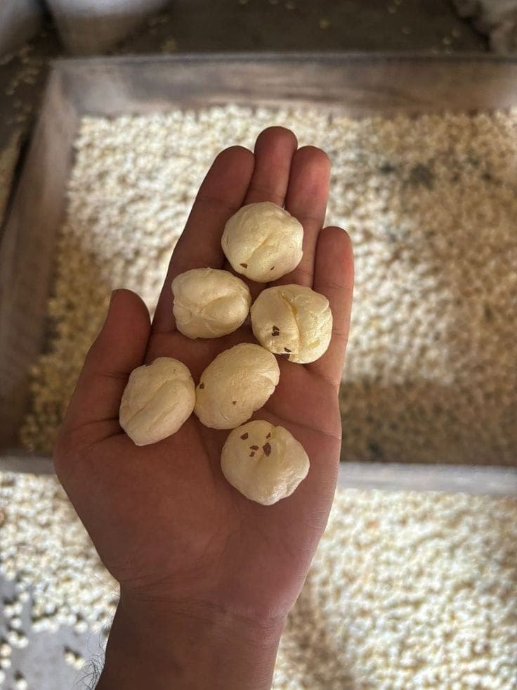 Makheshwari Foods roastery, Samastipur