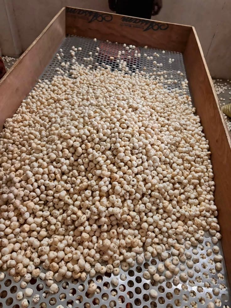 Makheshwari Foods roastery, Samastipur