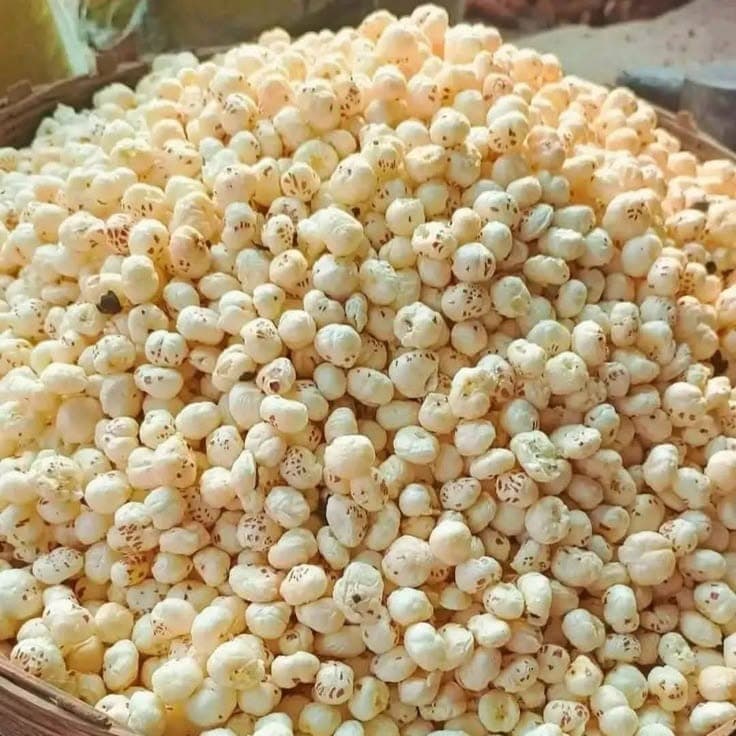 Makheshwari Foods roastery, Samastipur