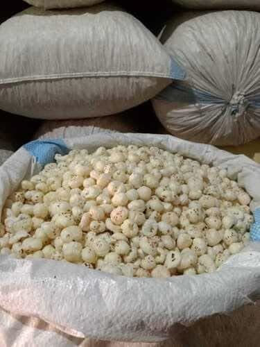 Makheshwari Foods roastery, Samastipur