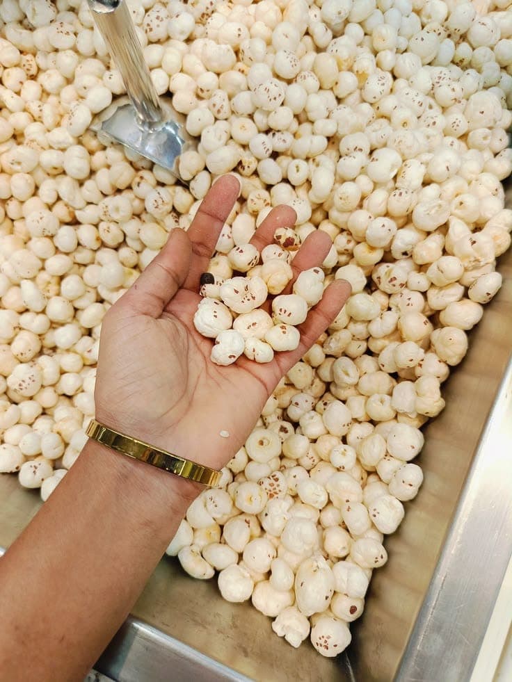 Makheshwari Foods roastery, Samastipur