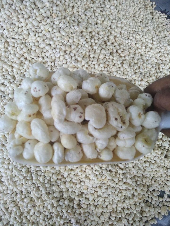 Makheshwari Foods roastery, Samastipur